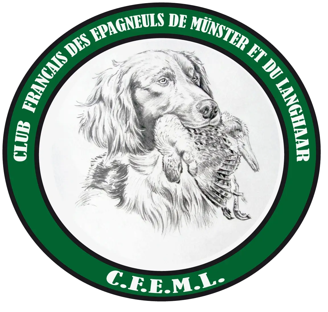 Logo CFEML